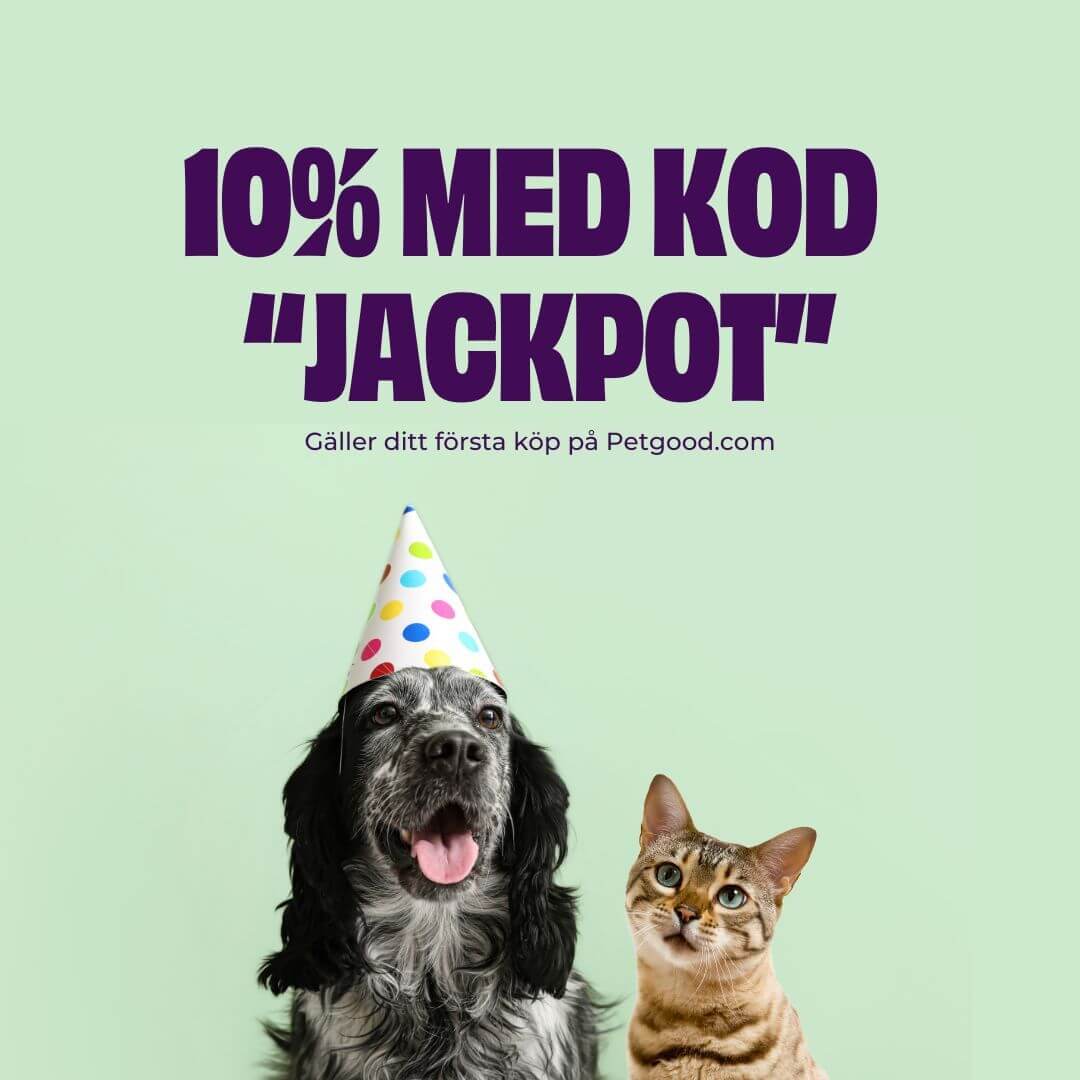 https://a.storyblok.com/f/236174/1080x1080/049a8f2e83/jackpot-sv.jpg