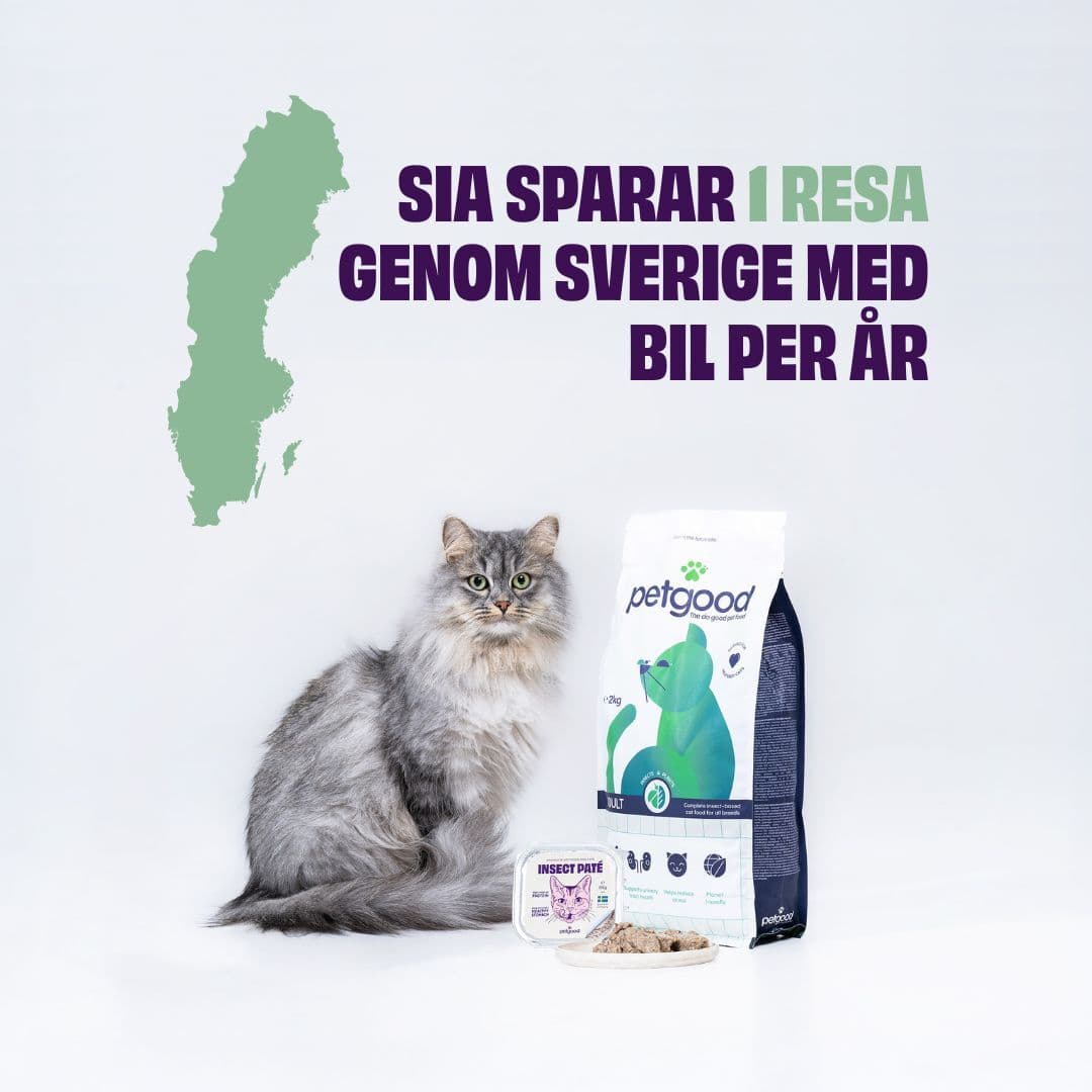 https://a.storyblok.com/f/236174/1080x1080/0e1a48b42f/sia-saves.jpg