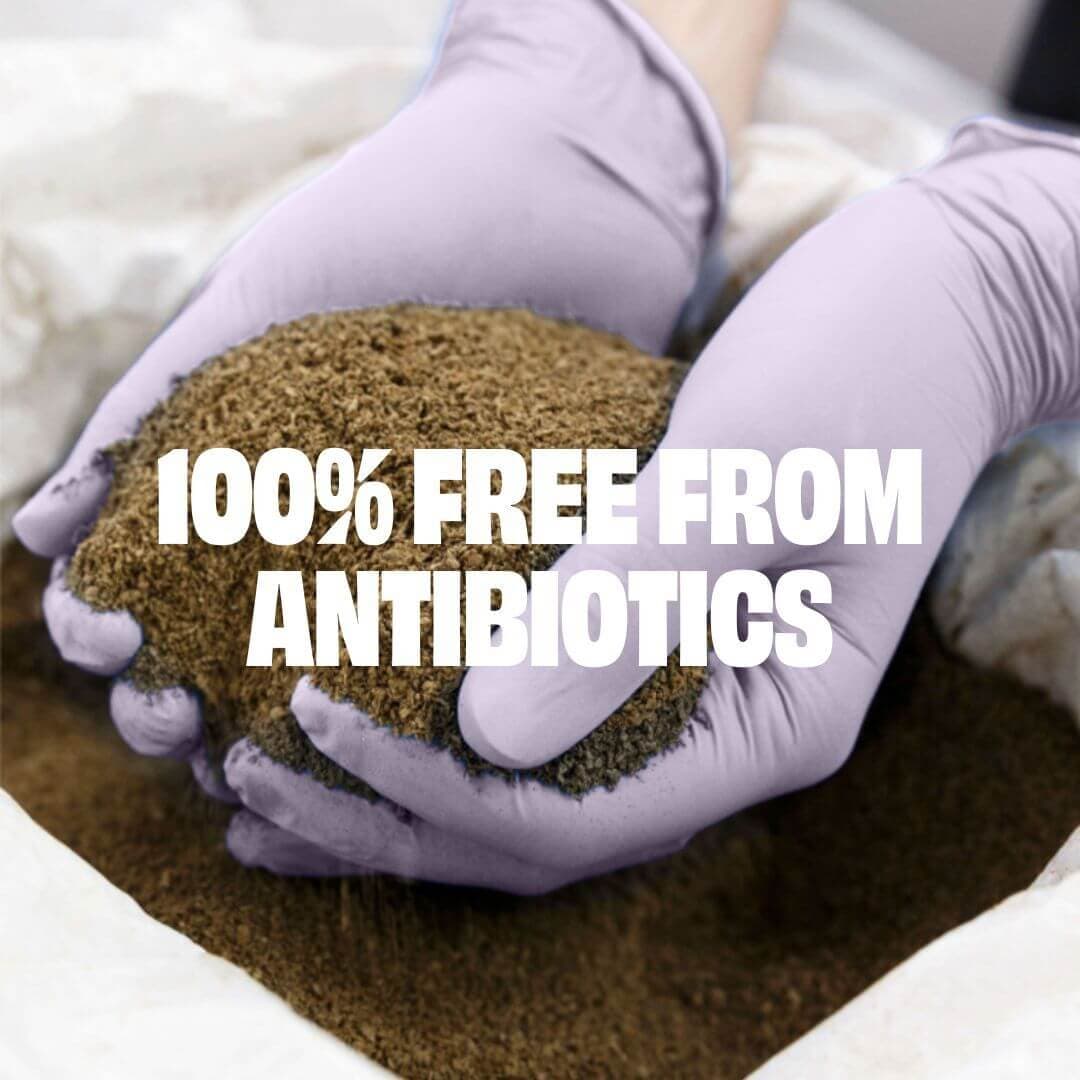 https://a.storyblok.com/f/236174/1080x1080/3c21292abf/antibiotics-solution-eng.jpg