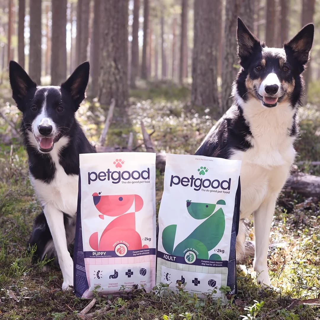 Insect based adult dog food with taste guarantee the original