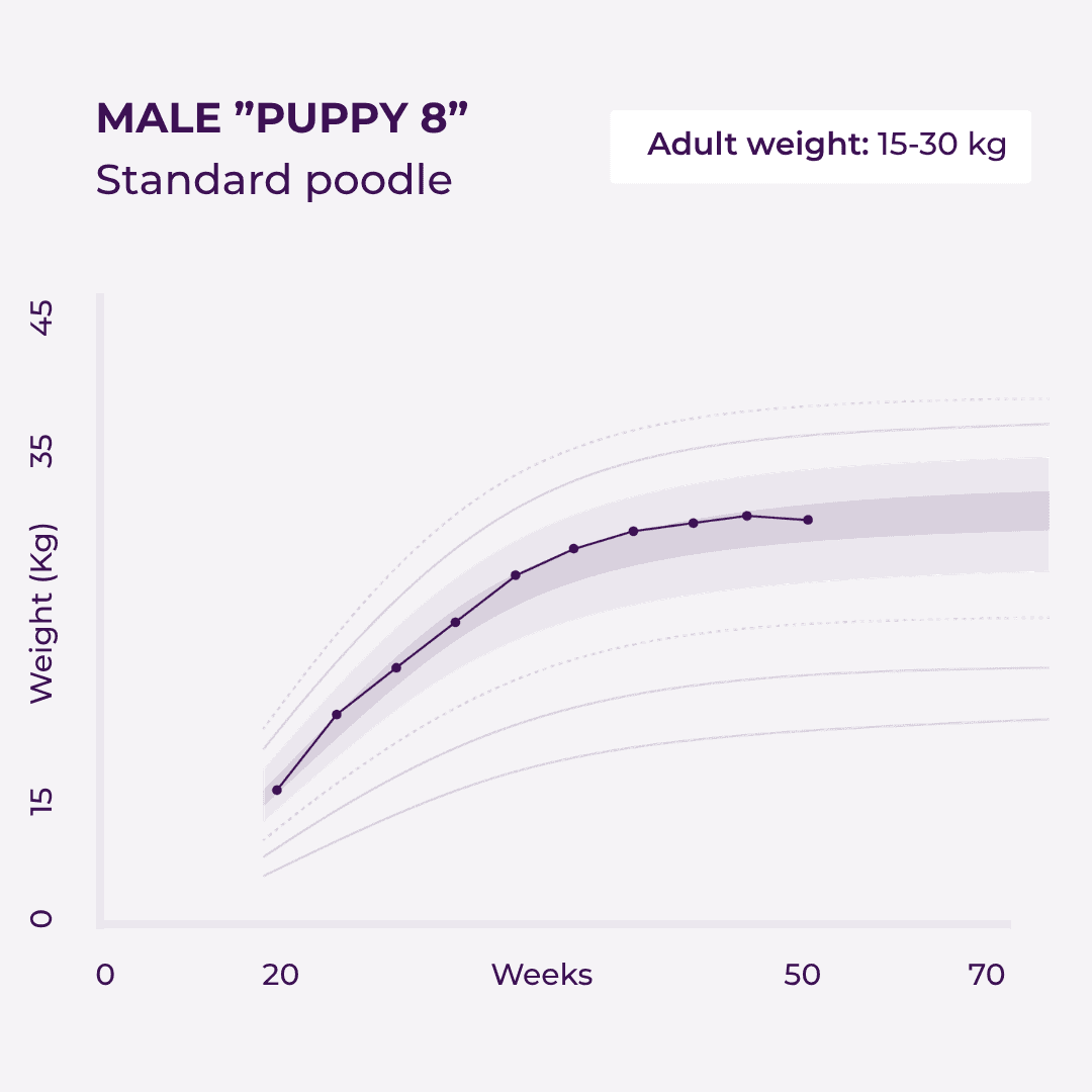 https://a.storyblok.com/f/236174/1080x1080/c97f402a33/chart-eng.png