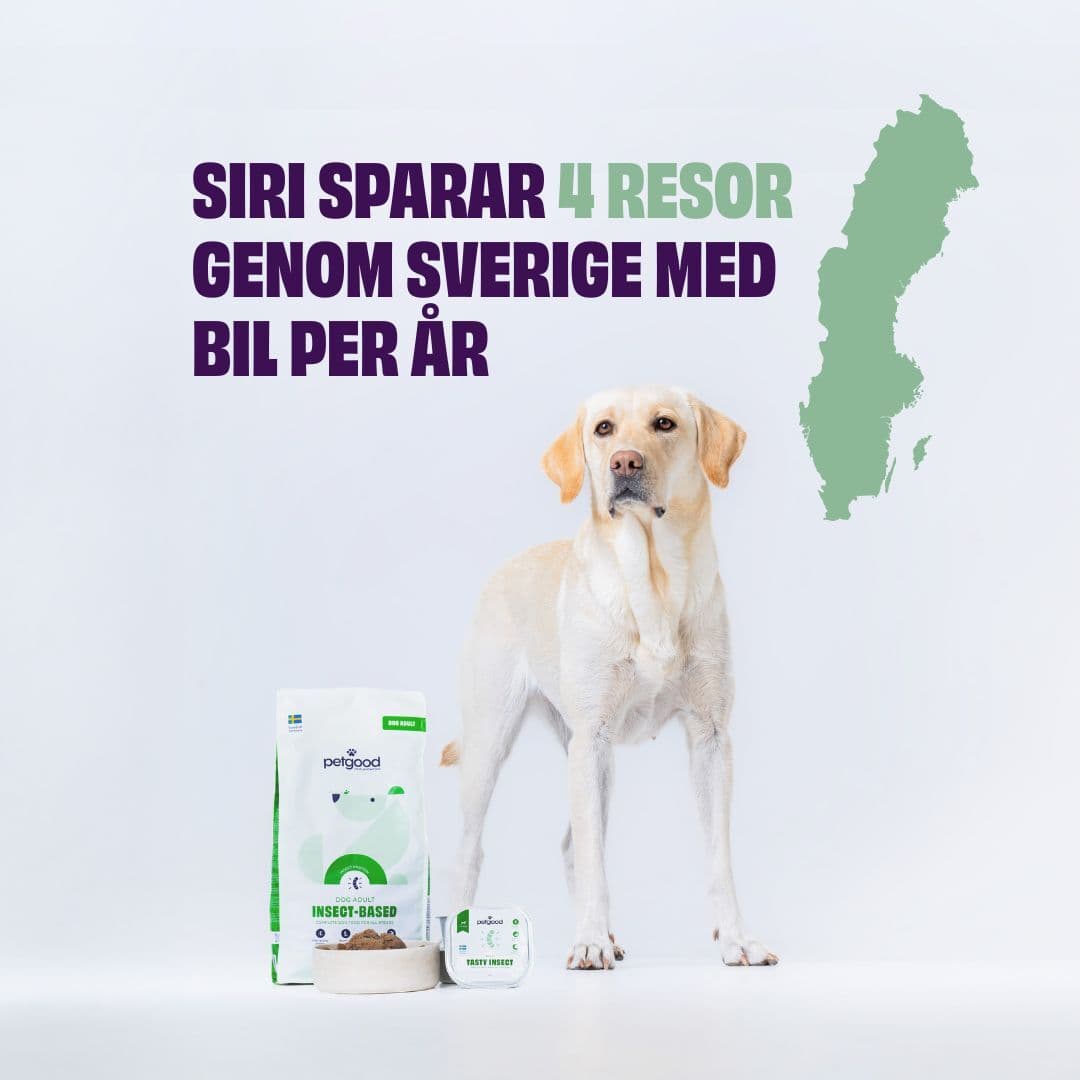 https://a.storyblok.com/f/236174/1080x1080/e3bcf82dbe/siri-saves.jpg