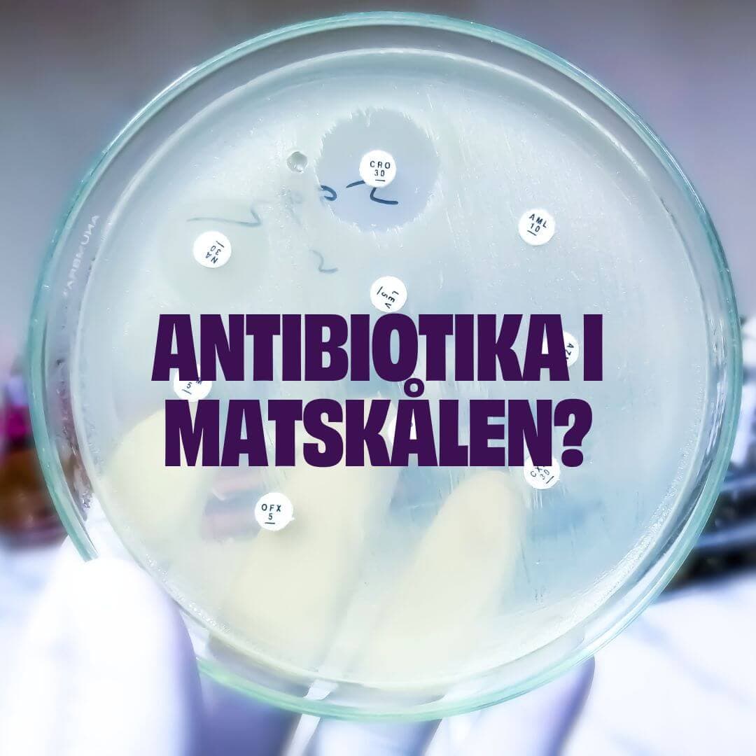 https://a.storyblok.com/f/236174/1080x1080/fc9437ca64/antibiotics-problem.jpg