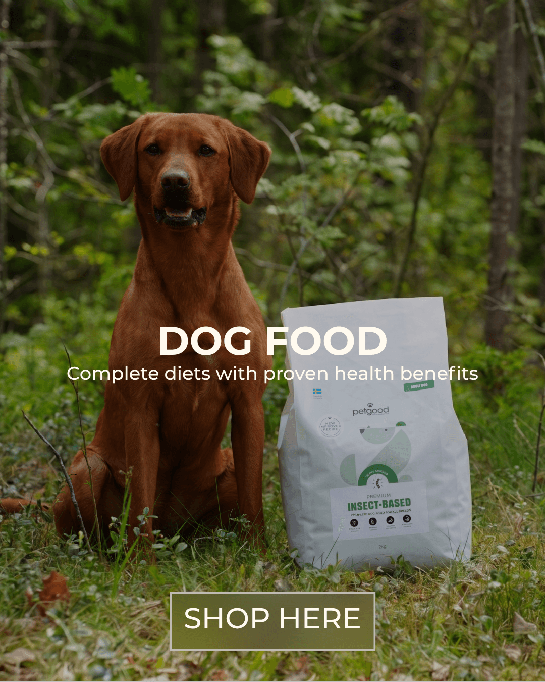 https://a.storyblok.com/f/236174/1080x1350/054a36e05c/dogfood-webb.png