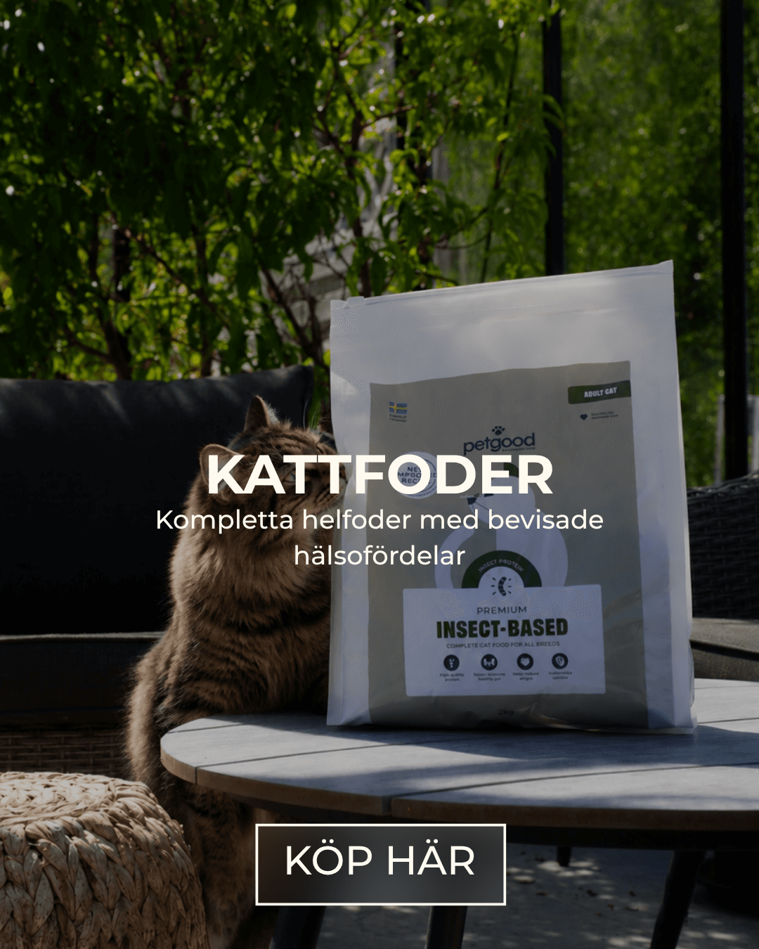 https://a.storyblok.com/f/236174/1080x1350/153df9b32b/kattfoder-webb.png