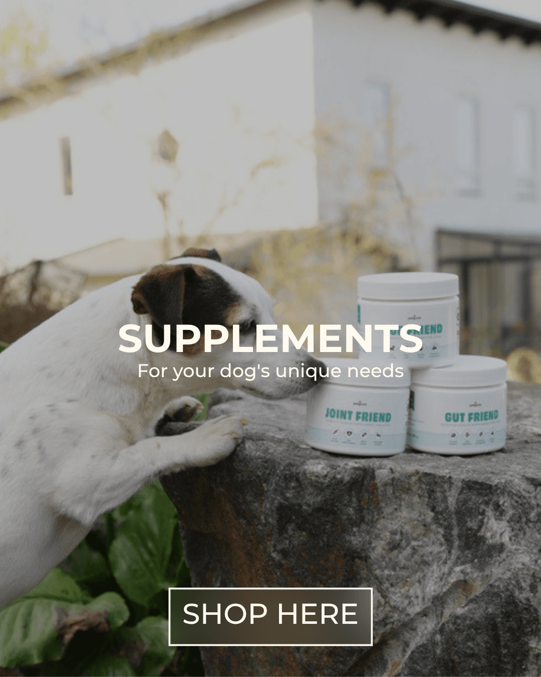https://a.storyblok.com/f/236174/1080x1350/3e62e7ac44/supplements-webb.png