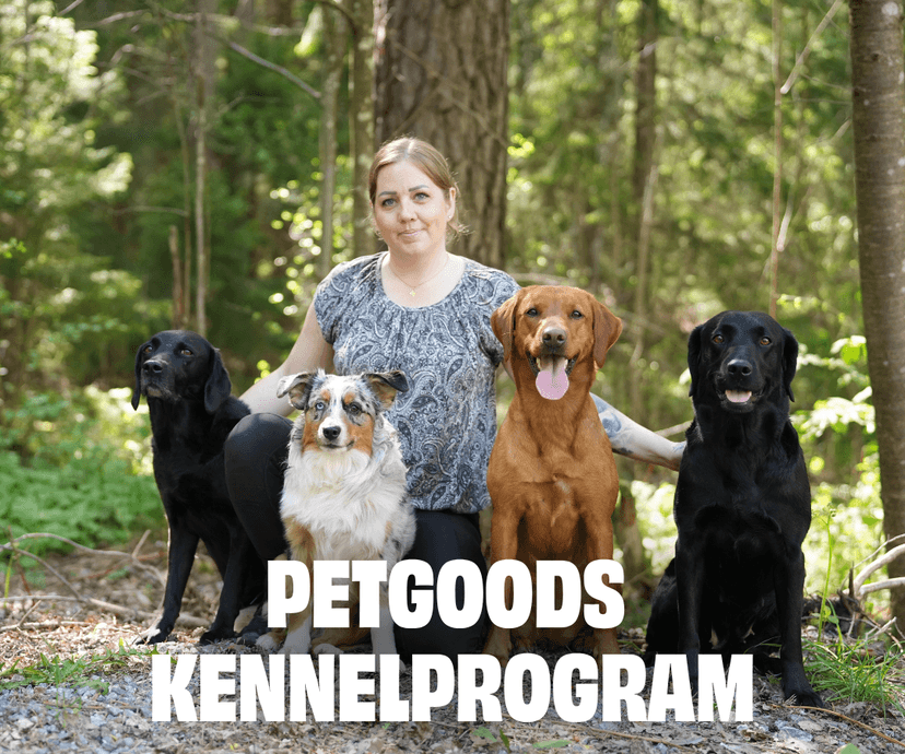 https://a.storyblok.com/f/236174/1080x900/2e3a6d1408/kennelprogram-mobile-hero.png