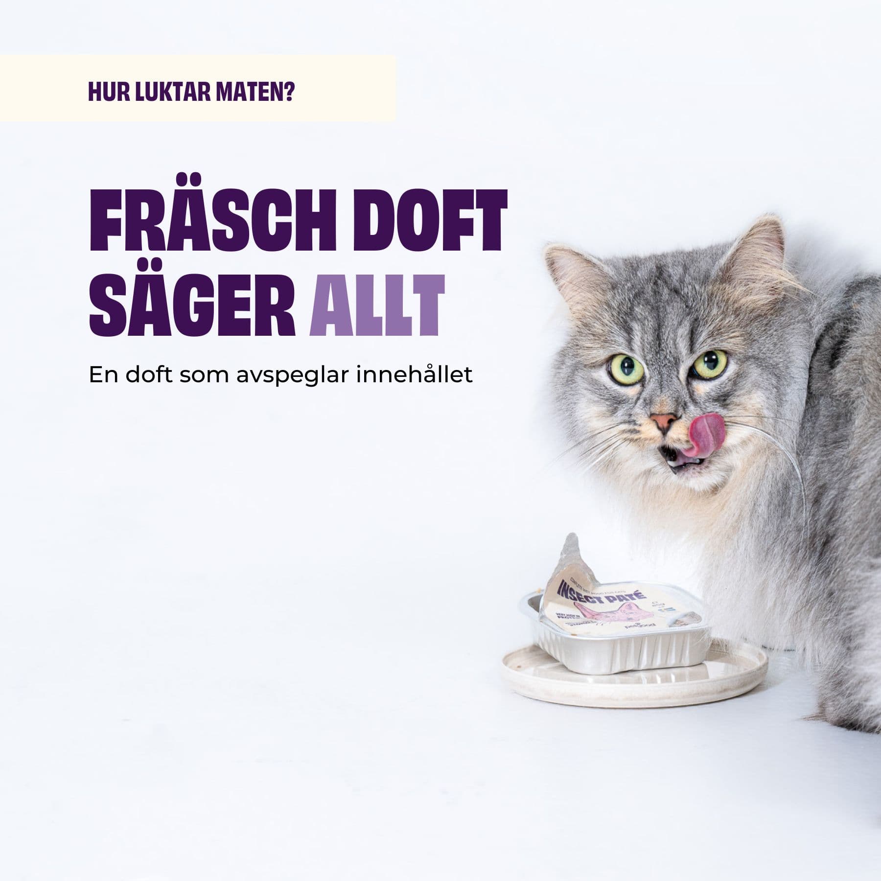 https://a.storyblok.com/f/236174/1800x1800/7b02ac9fee/fresh-cat-3-smell.jpg