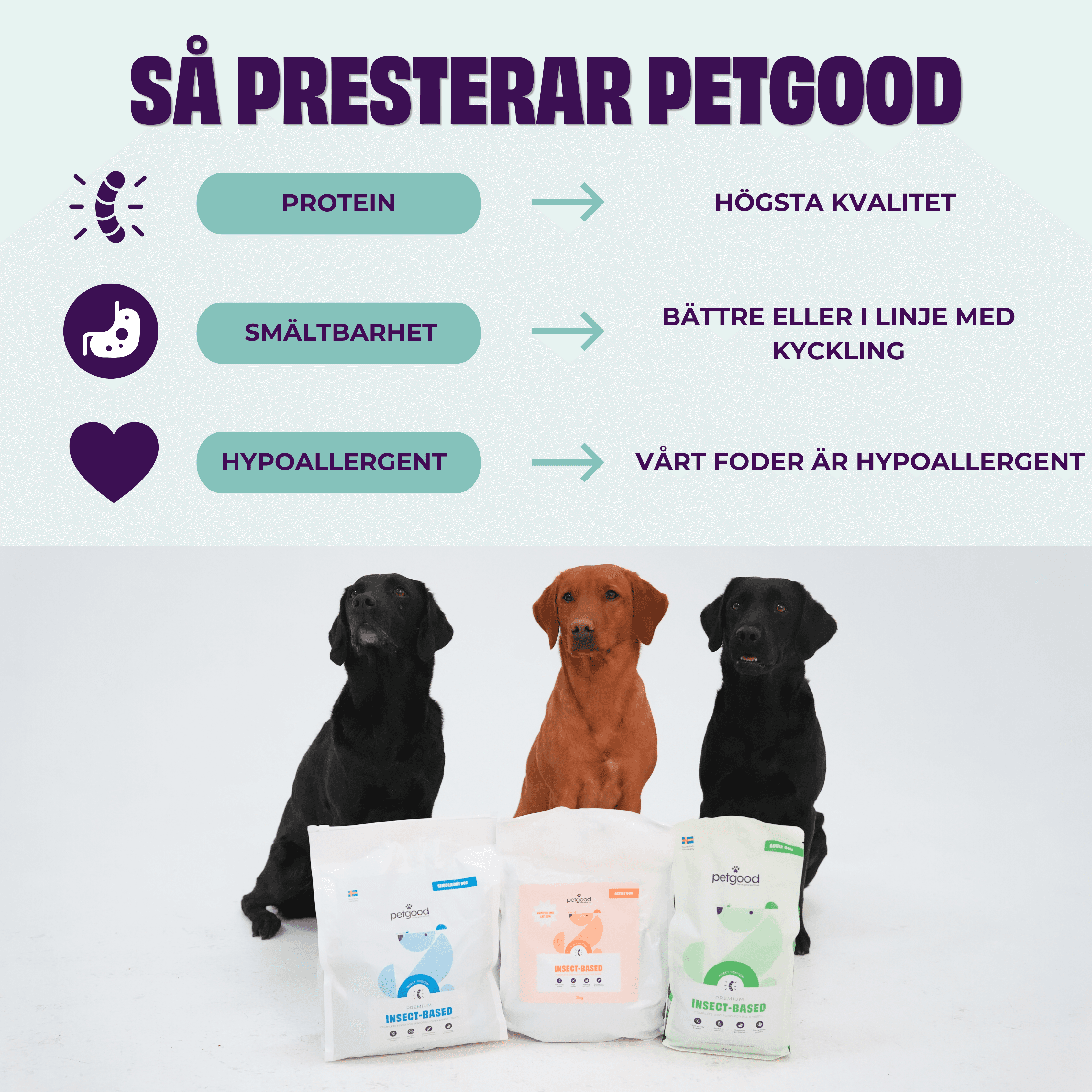 https://a.storyblok.com/f/236174/3375x3375/a63d9ee888/sa-presterar-petgood.png