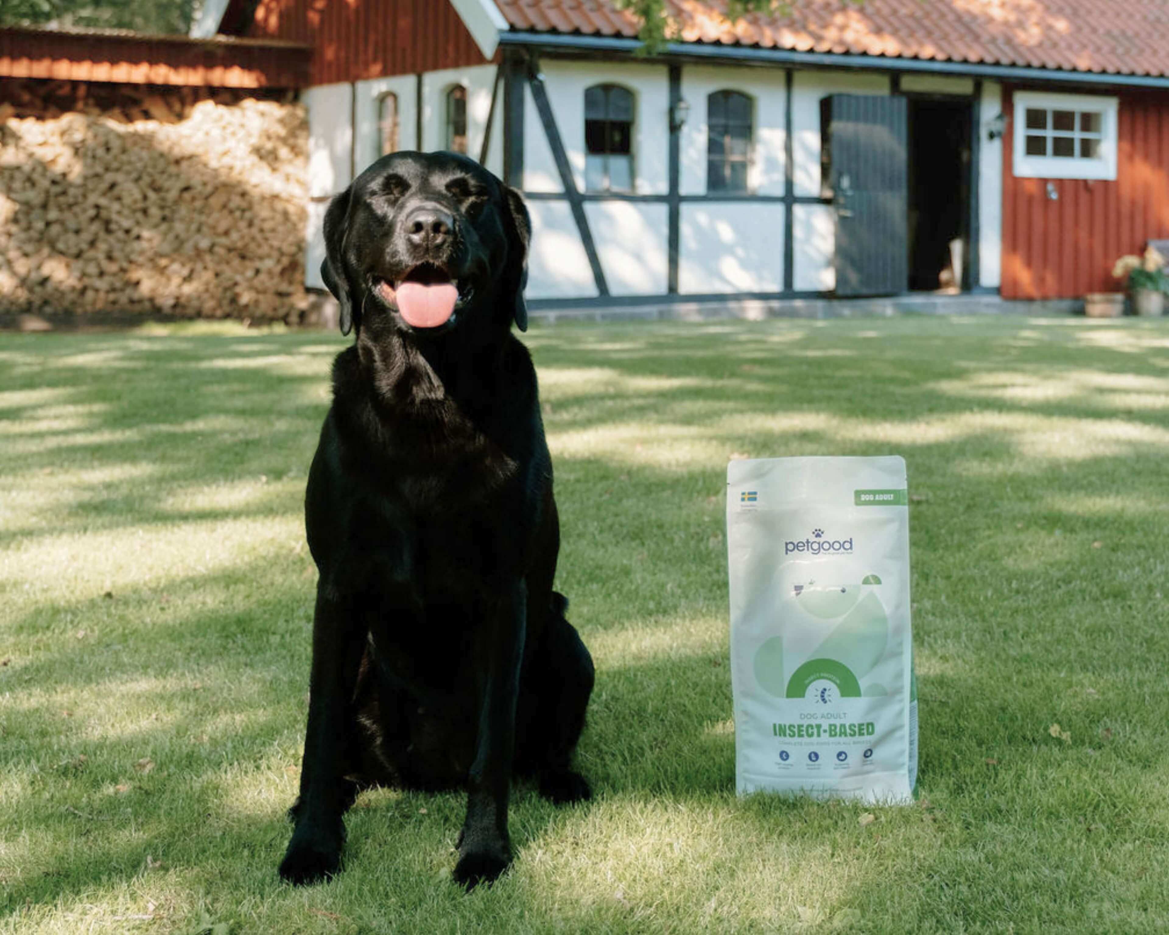 https://a.storyblok.com/f/236174/3840x3072/0ba0e8531f/premium-adult-dog-lifestyle.jpg