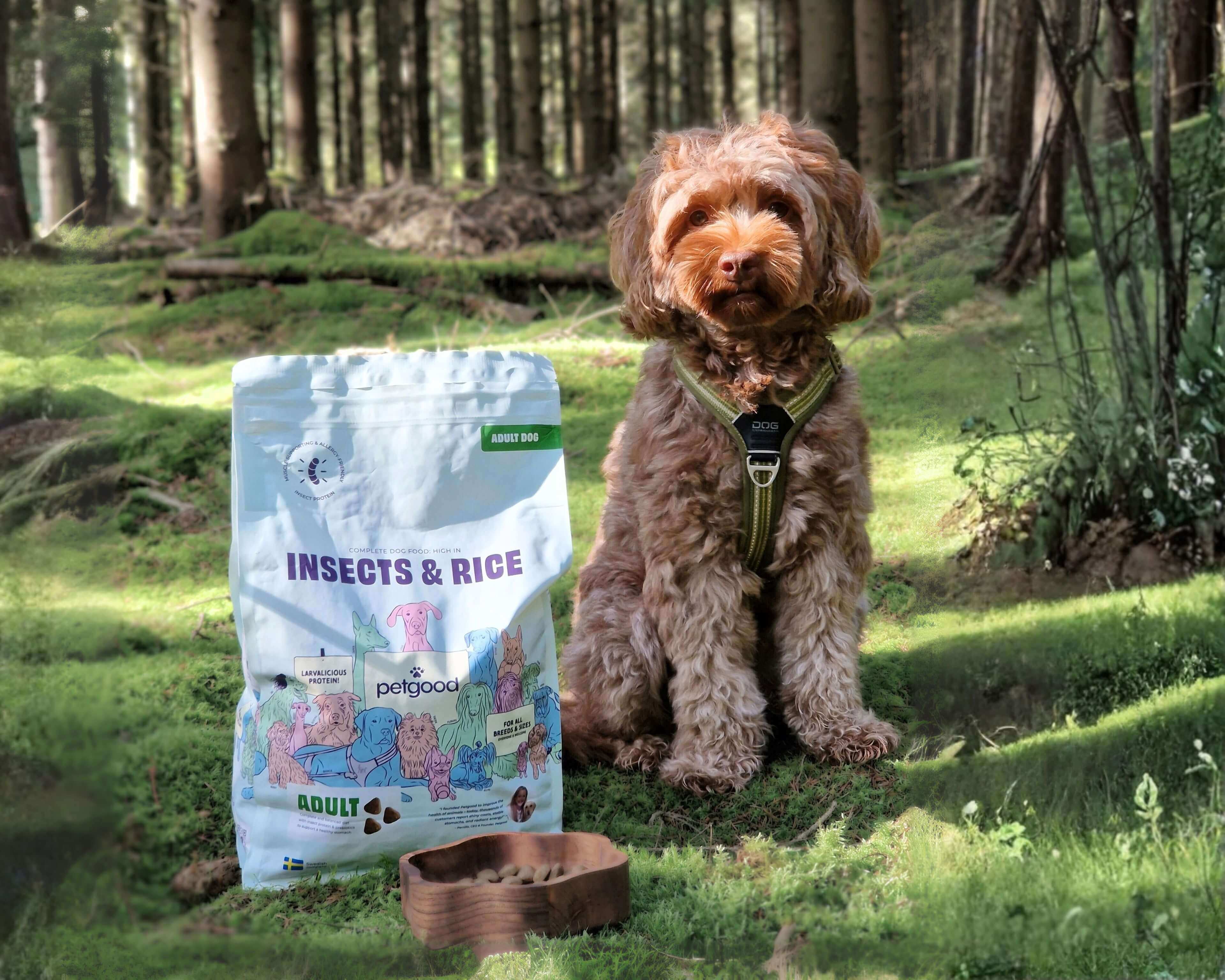 https://a.storyblok.com/f/236174/3840x3072/fbaca7bd35/insects-rice-dog-lifestyle.jpg
