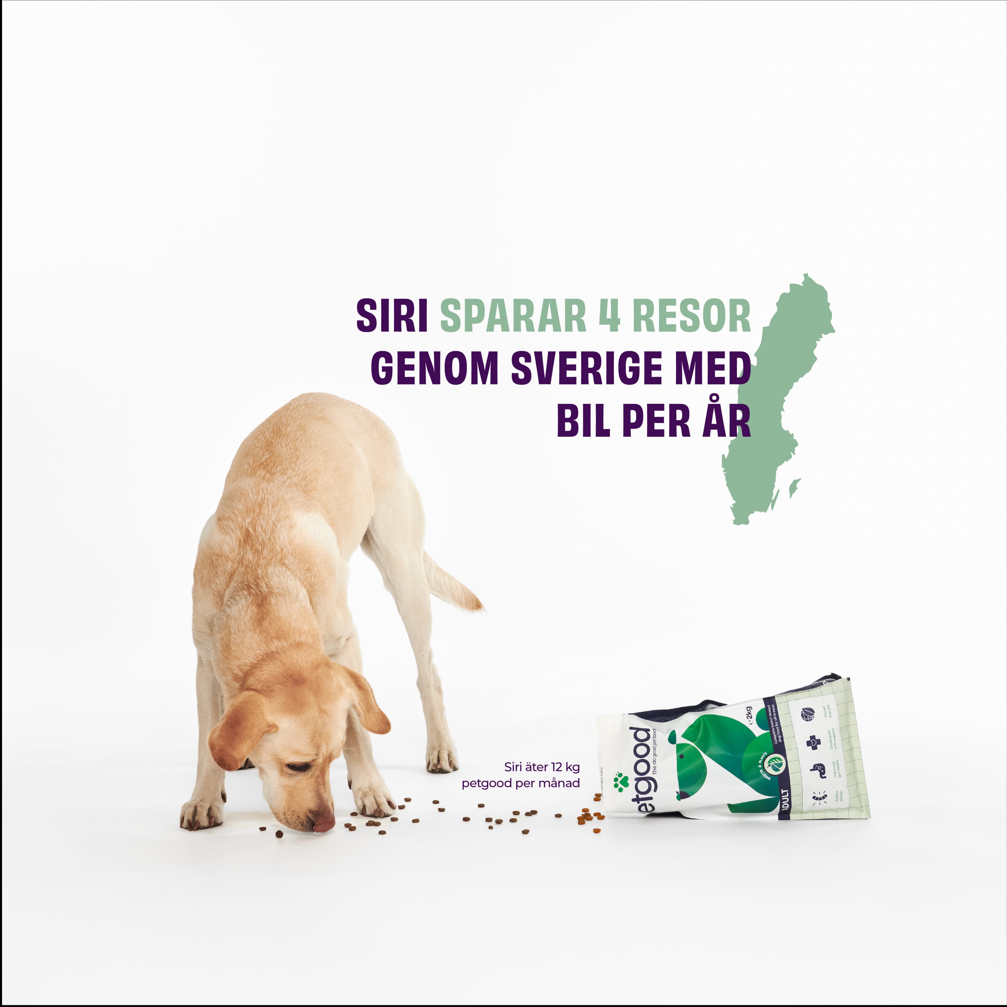 https://a.storyblok.com/f/236174/4321x4321/89d783c082/sustainability-graphic-lca-analys-dog-sv.webp