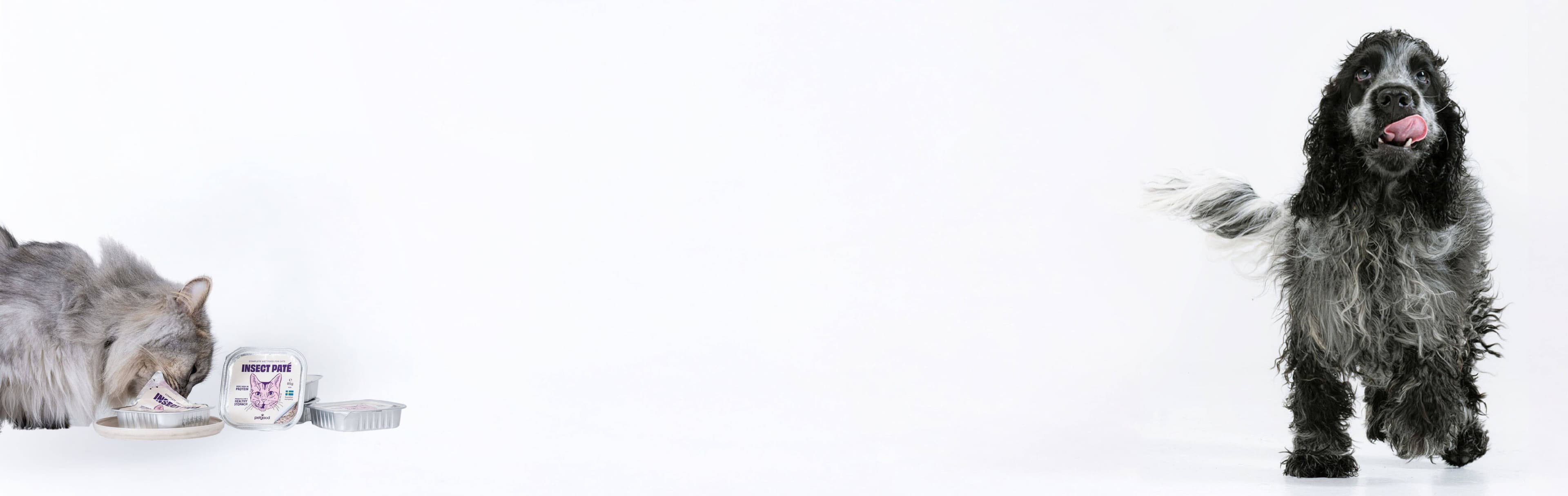 https://a.storyblok.com/f/236174/6001x1901/789c8ebcde/antibiotics-banner-desktop.jpg