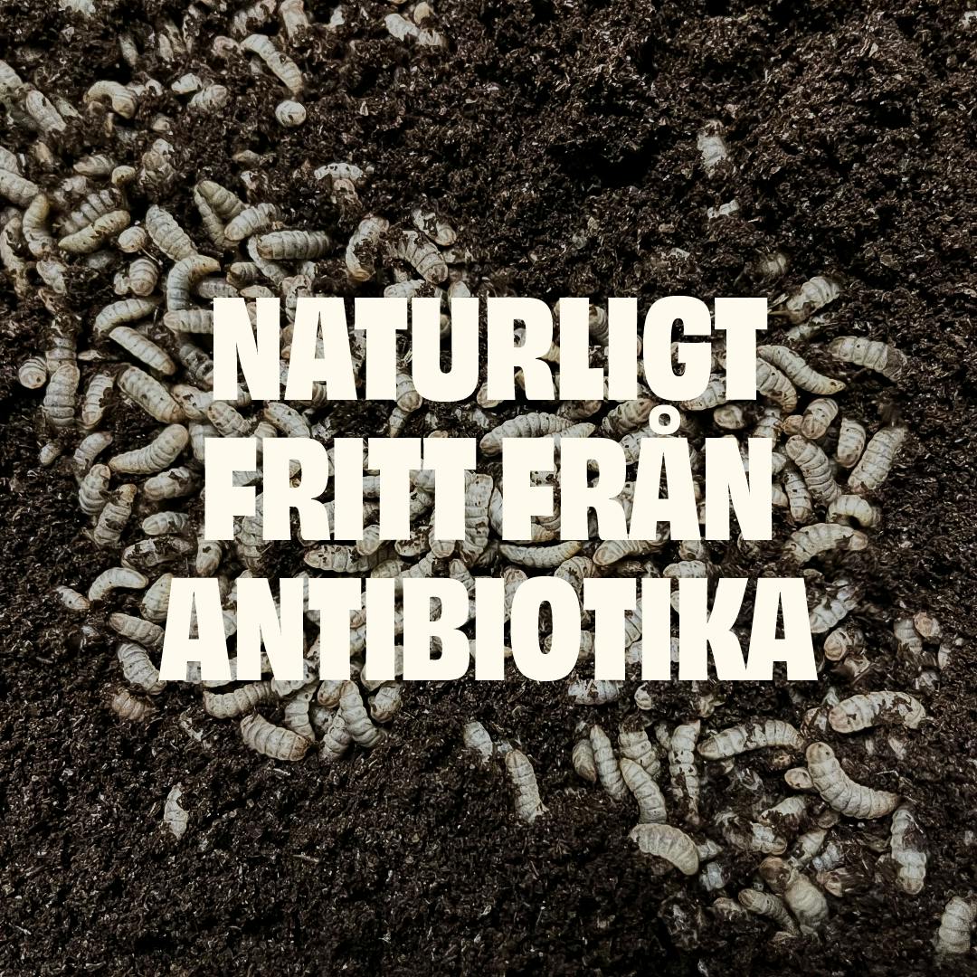 https://a.storyblok.com/f/236174/1080x1080/0fdfd7b3a3/naturligt-fritt-fran-antibiotika.webp