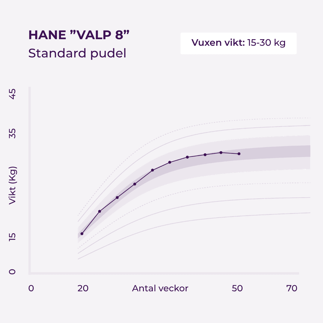 https://a.storyblok.com/f/236174/1080x1080/6b595a8989/waltham-chart.png